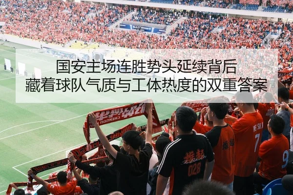 国安主场连胜势头延续背后 藏着球队气质与工体热度的双重答案 - kaiyun
